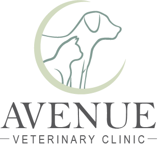 Avenue of the Saints Animal Hospital logo